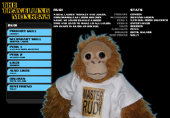 Rudi The Travelling Monkey