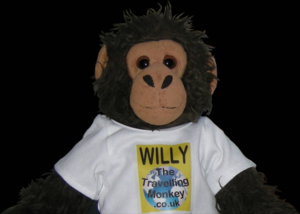 Email Willy