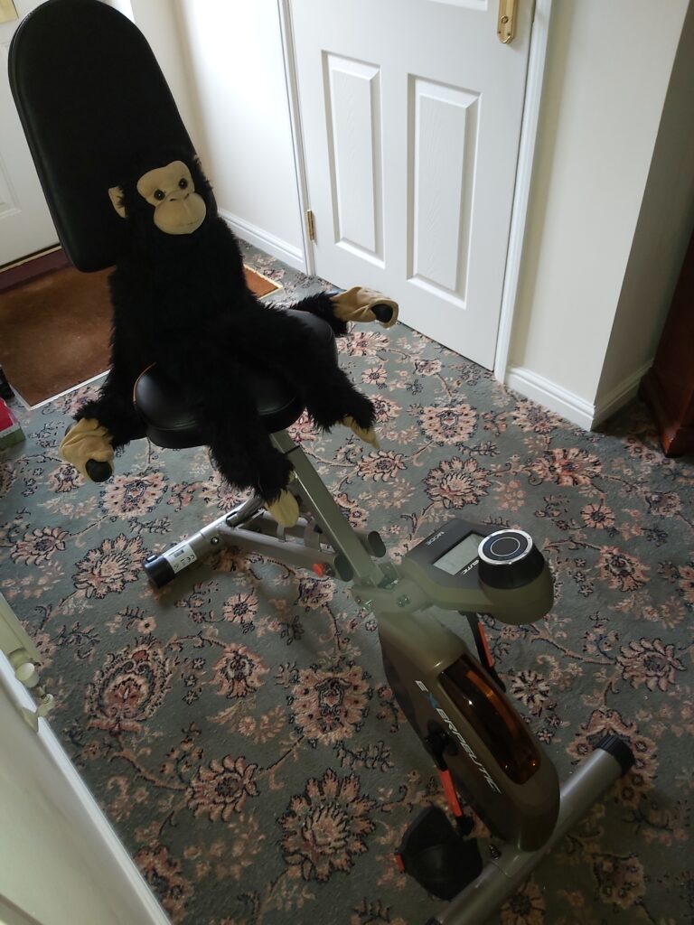 Eddy on his exercise bike.